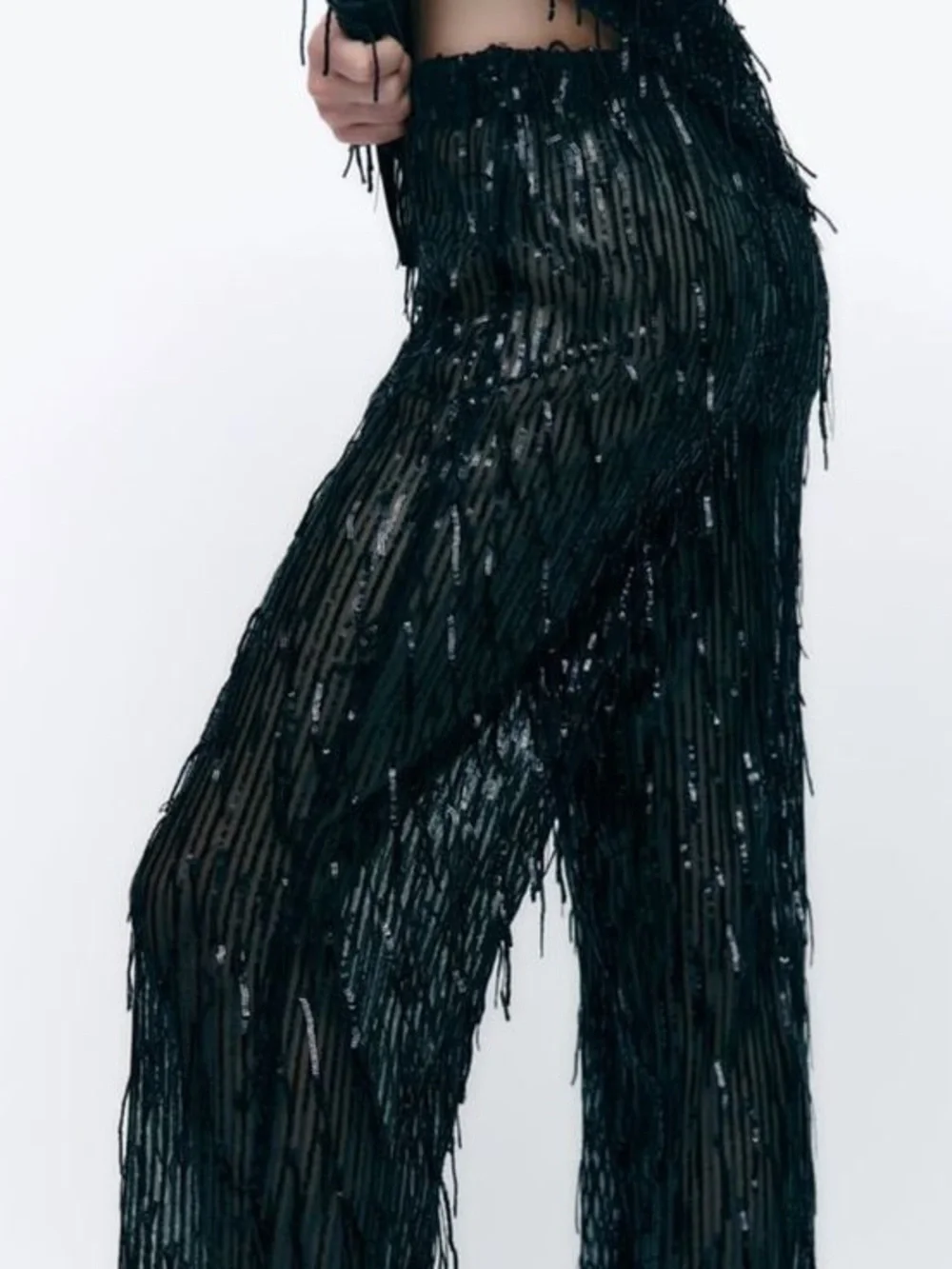 Black Sequin Fringe Pants and Top- Zara